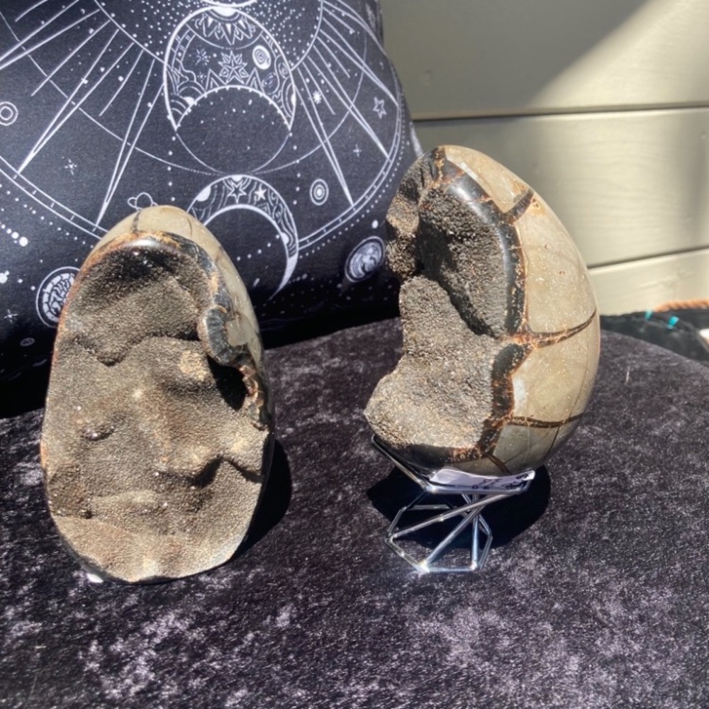 Sale! Septarian nodule geode crystal